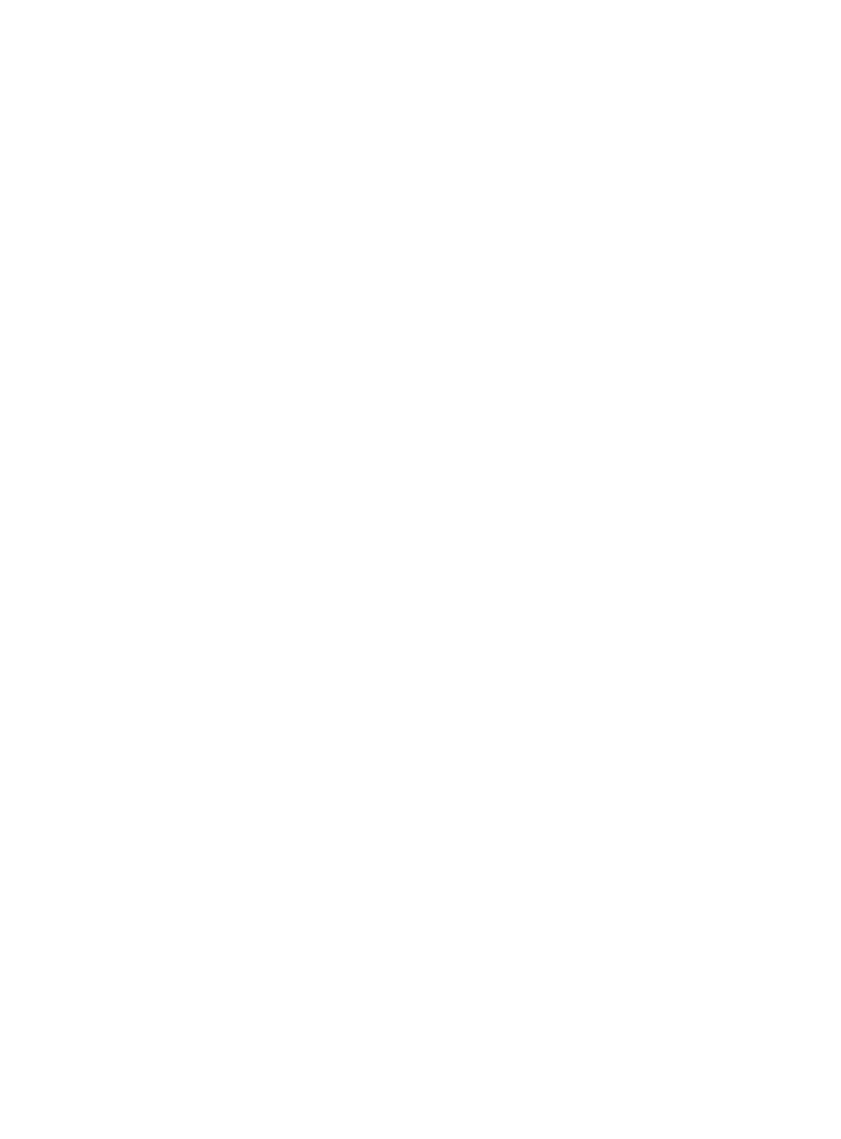 borealis_spirit_logo_rgb_white