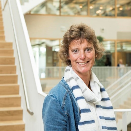 ASCERTAIN Carin Yul-de Groot